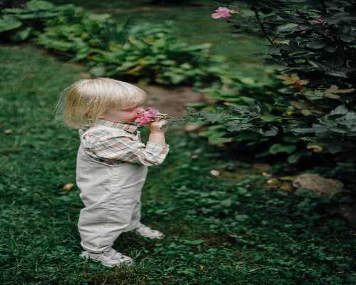 云南高龄借卵 云南试管婴儿成功率最高的医院是哪个？哪个医院好？ ‘三维彩