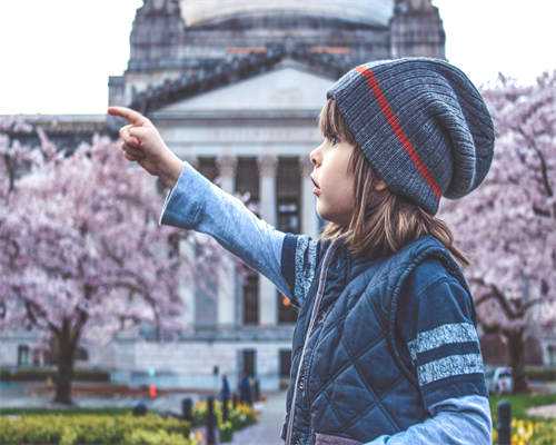54岁供卵怀孕了_40岁供卵成功率_试管婴儿为啥很多是双胎甚是多胎呢？