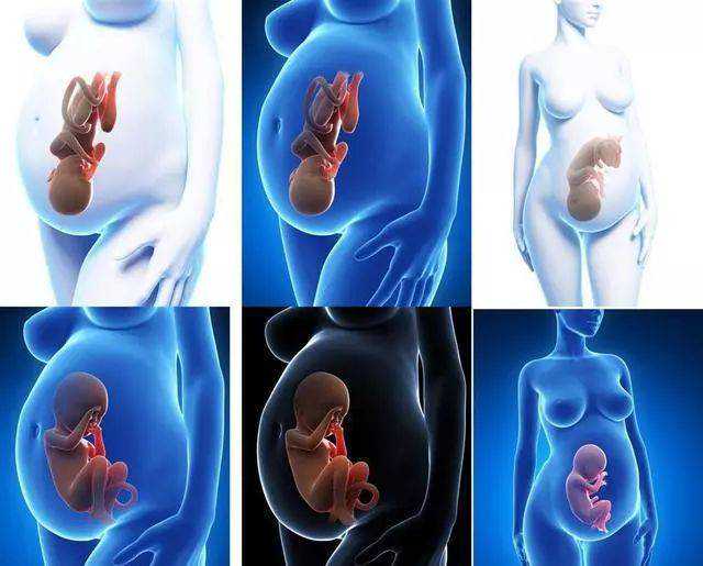 成都代怀生子机构|丽水试管供卵,丽水供卵试管兰梦试管徴