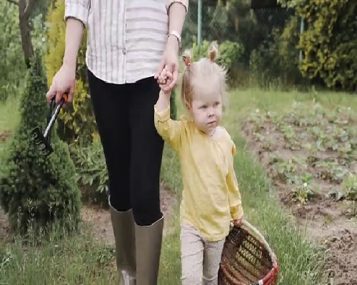 沧州高龄借卵价格 沧州颐和试管婴儿费用贵吗生双胞胎会有健康问题吗 ‘孕晚