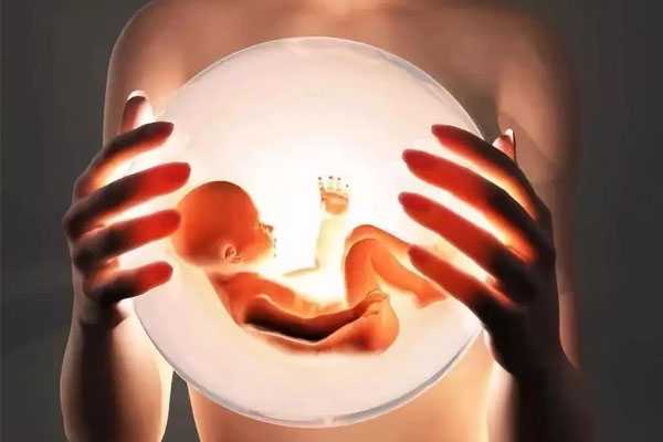 36岁供卵生儿子_36岁供卵成功率_试管婴儿好孕双胞胎如何保胎有诀窍