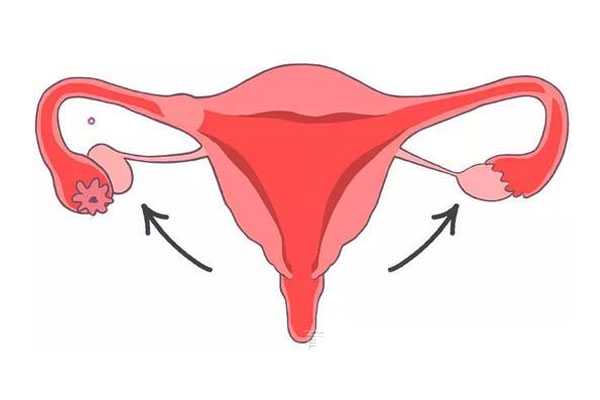45岁借卵试管_41岁供卵怀孕了_试管移植前准备工作，子宫内膜容受检查符合标准