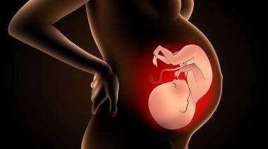 自卵代怀最大年龄_试管婴儿进入周期后的流程